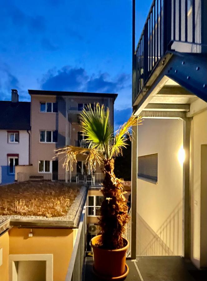 Good Night Apartments Binningen Exteriör bild